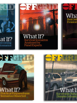 What If? Survival Scenario Collection (Digital Download PDF)
