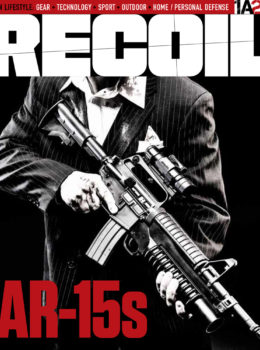 AR-15