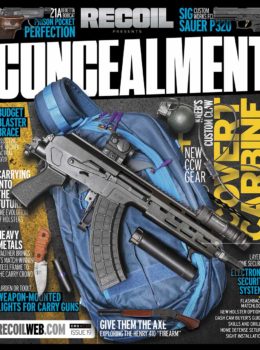 Concealment No. 19