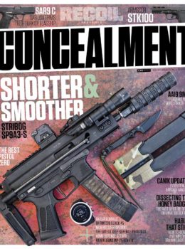 Concealment No. 25