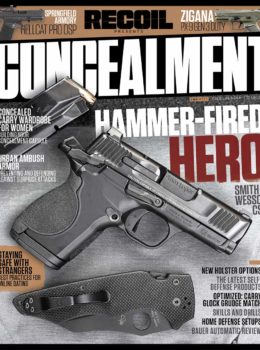 Concealment No. 26