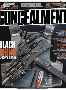 Concealment No. 30