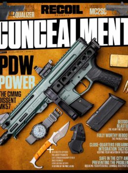 Concealment No. 31